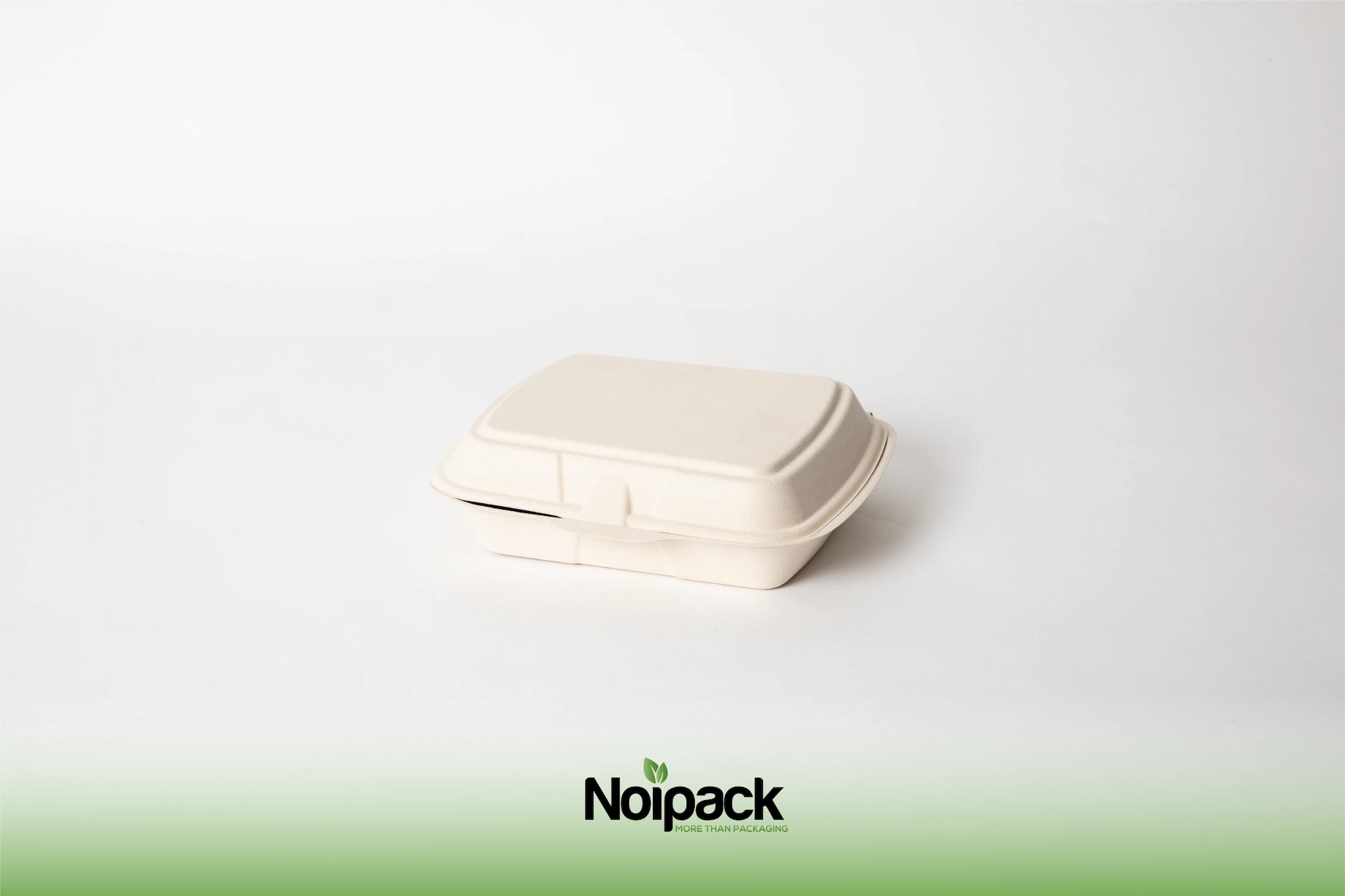 NoiBIO bagasse meal box 1-compartment (2)